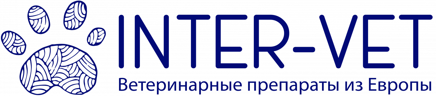 Интервет